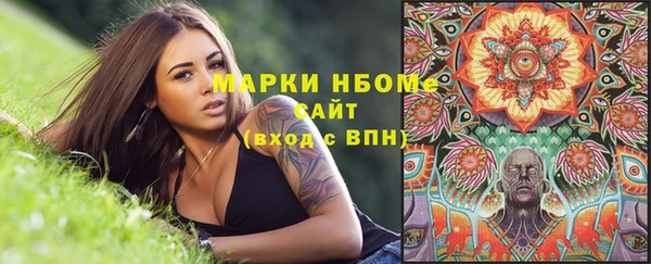 ECSTASY Бородино