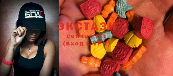 ECSTASY Бородино