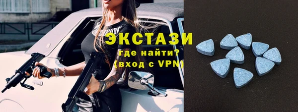 ECSTASY Бородино